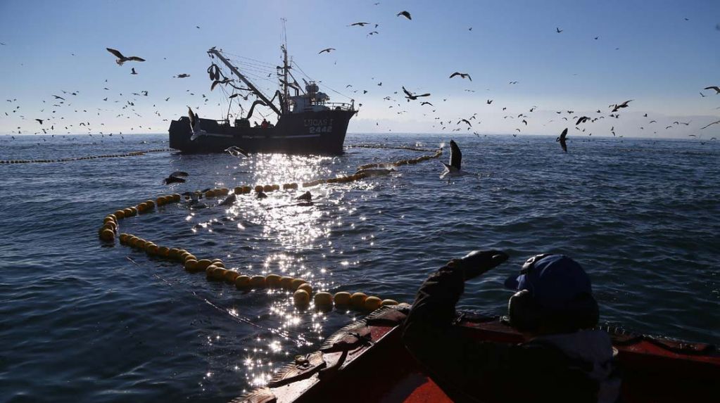 Barcos pesqueros