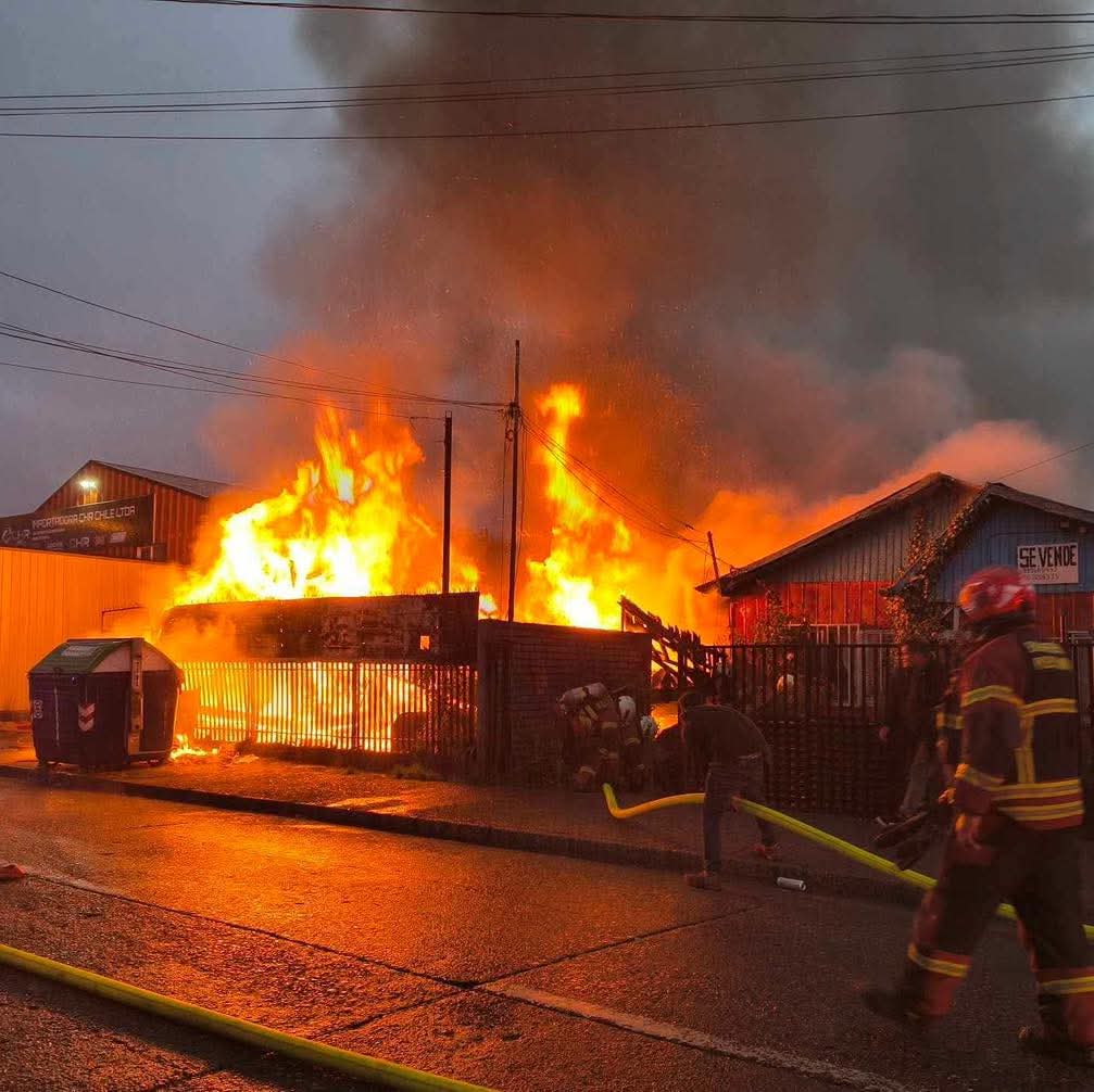 FB IMG 1773089088431