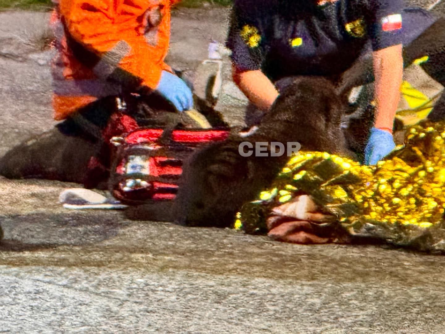 FB IMG 1773456157489